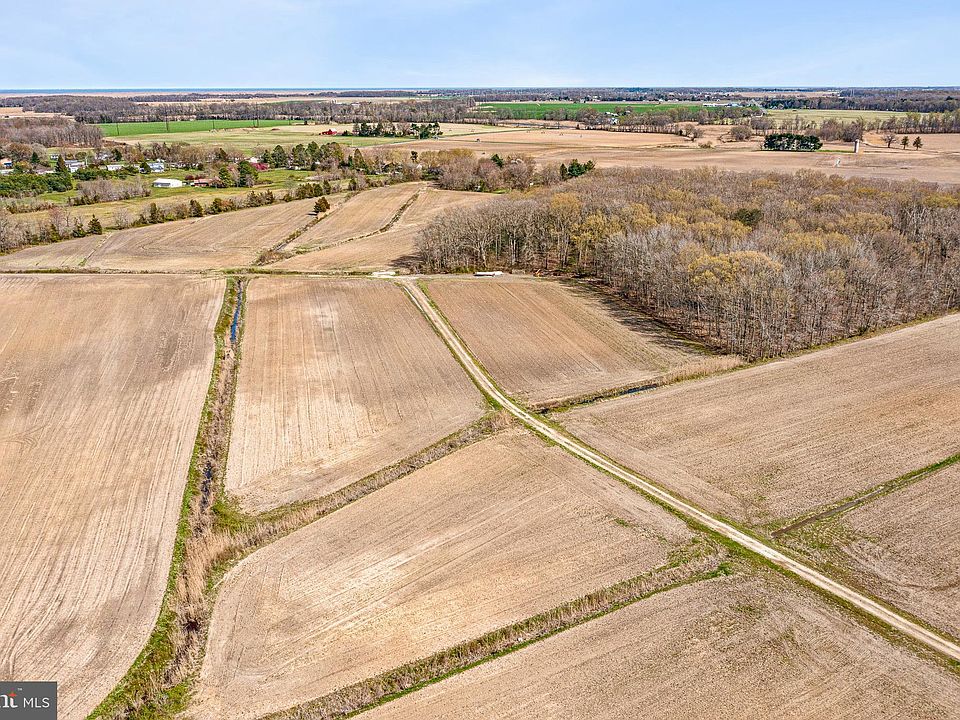 2nd image of 0 Leipsic Rd.