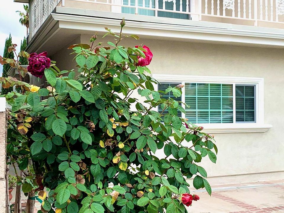 1st image of 7407 Peach Ave