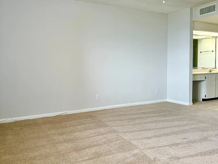 2617 Cove Cay Dr #1-311 — Photo 33
