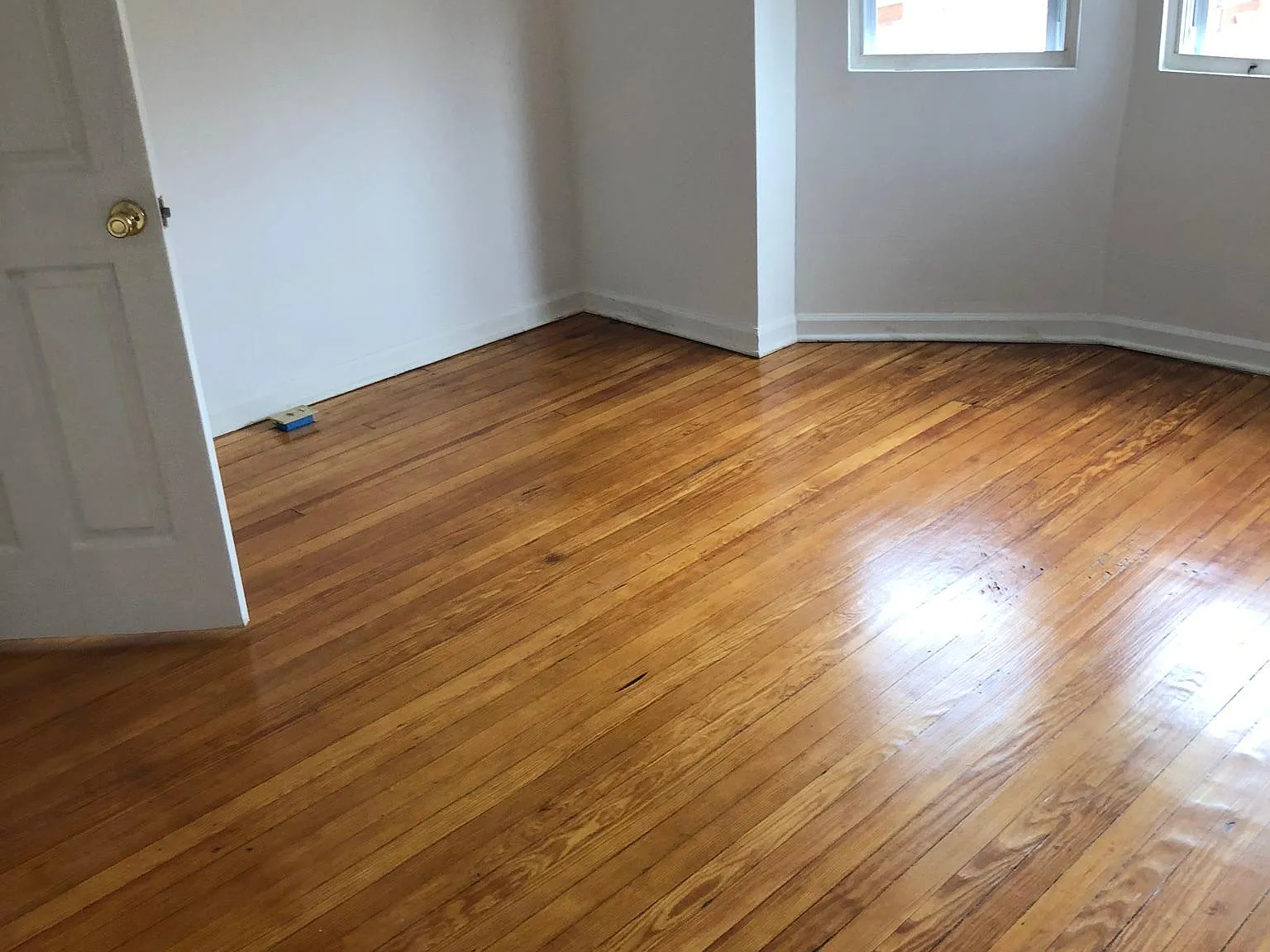 1 bed, 900 sqft, $1,150 — Photo 4