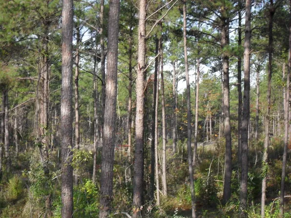 0 Other Old, Georgiana, AL 36033