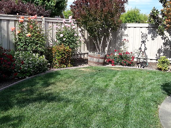 3rd image of 1243 Tiger Lily Ln