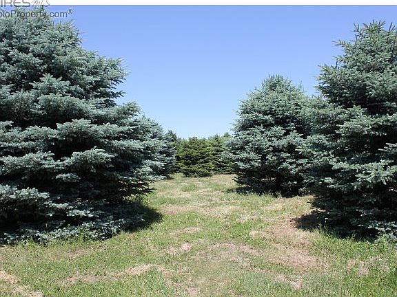 5th image of 2552 E County Road 64