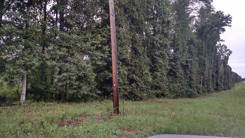 2nd image of 95 Anna Dr