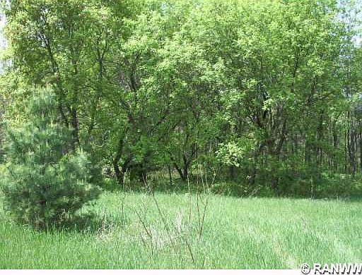 4th image of W4840 Hobbs Road