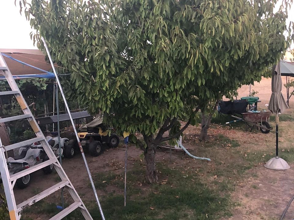2nd image of 1524 S Sacramento St