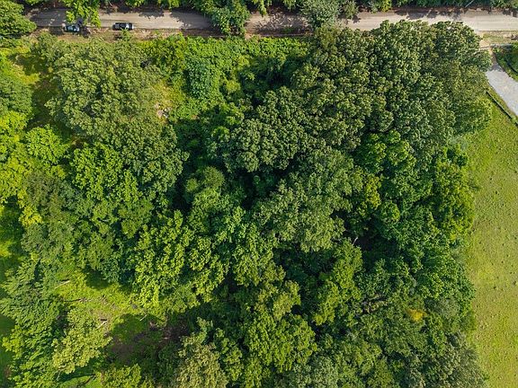 3rd image of Jackson Pit Rd Lot 2