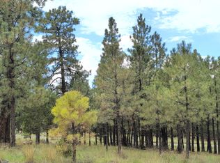 5141 Starlight Dr, Happy Jack, AZ 86024
