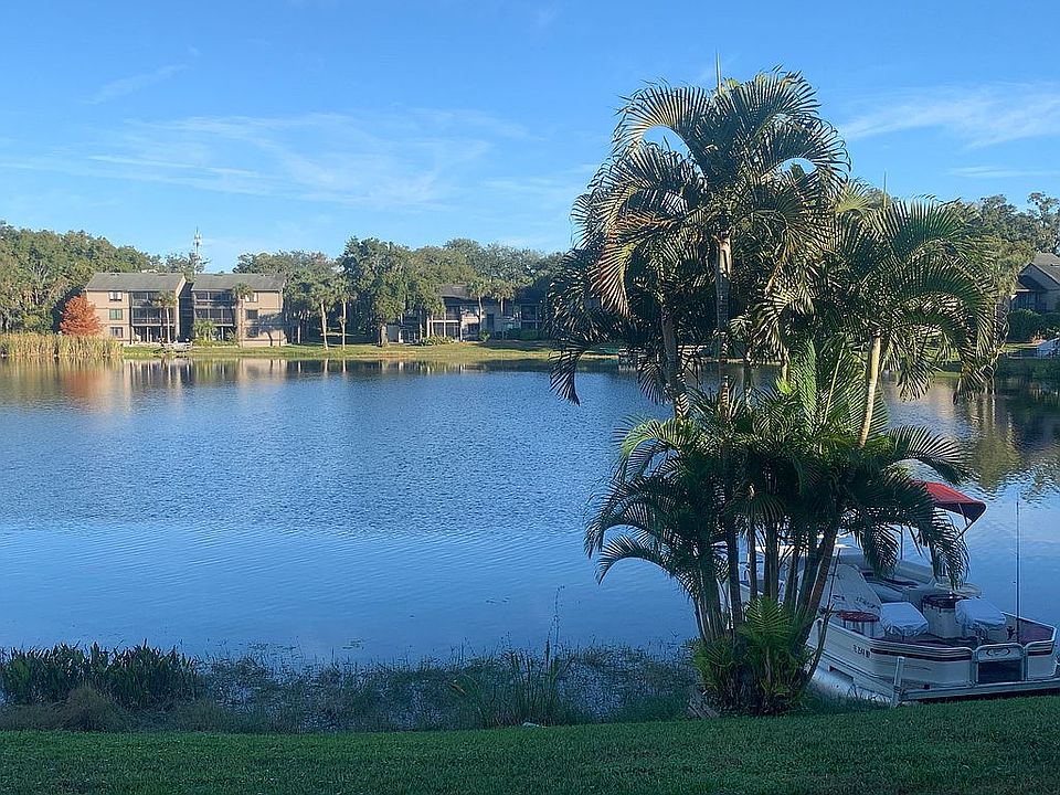 Morning view from porch