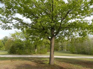 10695 Wheeling Rd, Carp Lake, MI 49718