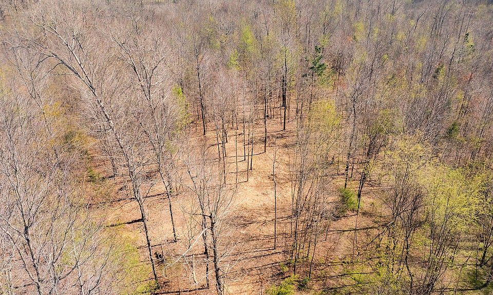 55th image of 7365 Coldwater Rd