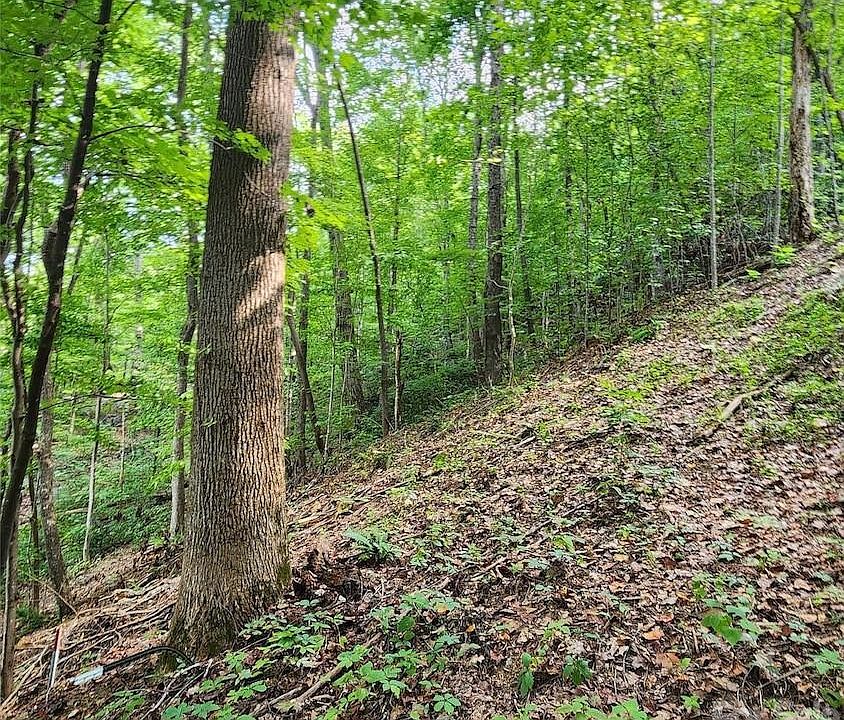 2nd image of 0 Switchback Rd