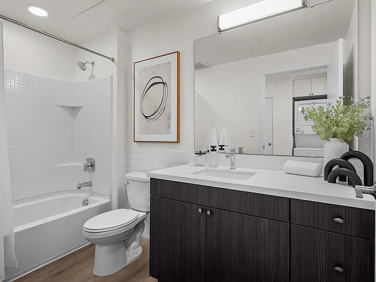 Tub/ Shower Bathroom