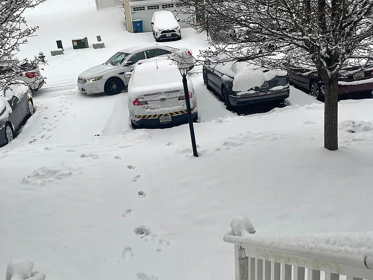 Parking lot front view