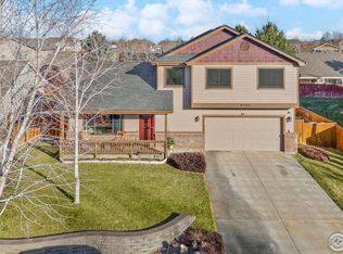 3724 Wine Cup St, Wellington, CO 80549