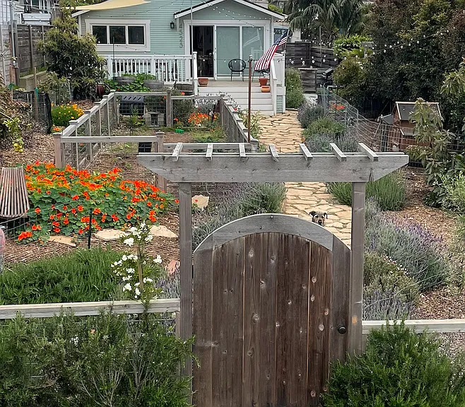 4525 Saratoga Ave — Photo 4