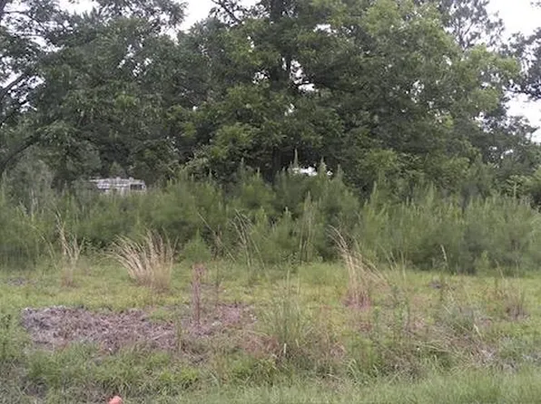 120 Bobwhite Ln, Ocilla, GA 31774