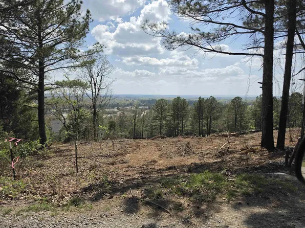 1320 Millers View Rd, Conway, AR 72034