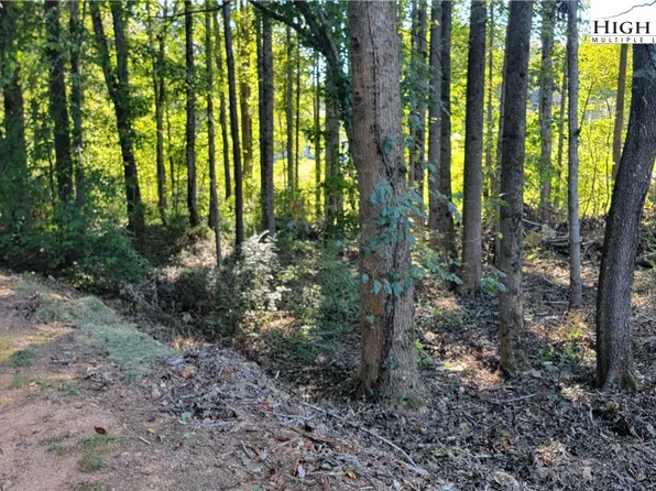 Lot 120 118 Friar Court, North Wilkesboro, NC 28659