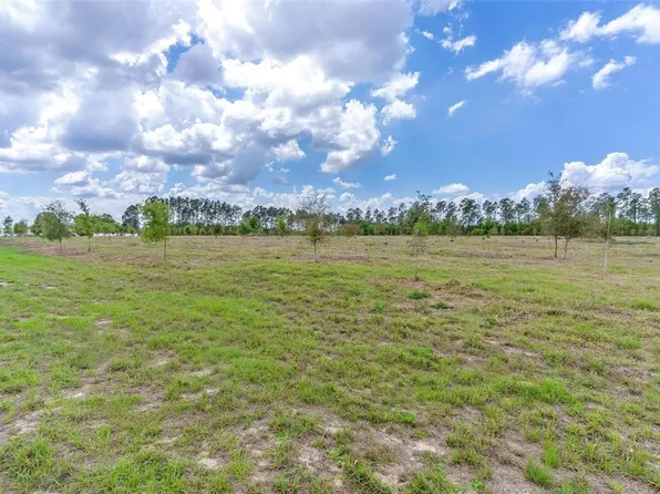 SE 170th Ave, Weirsdale, FL 32195