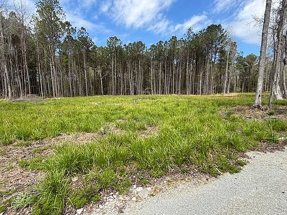 2nd image of Lot 2 Coats Rd.
