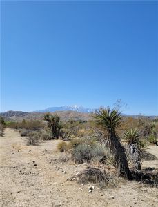 0 Palo Verde Rd, Morongo Valley, CA, 92256