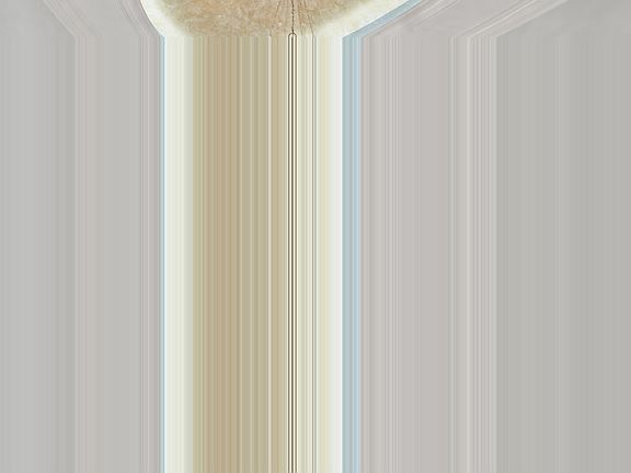 4th image of (Undisclosed Address)