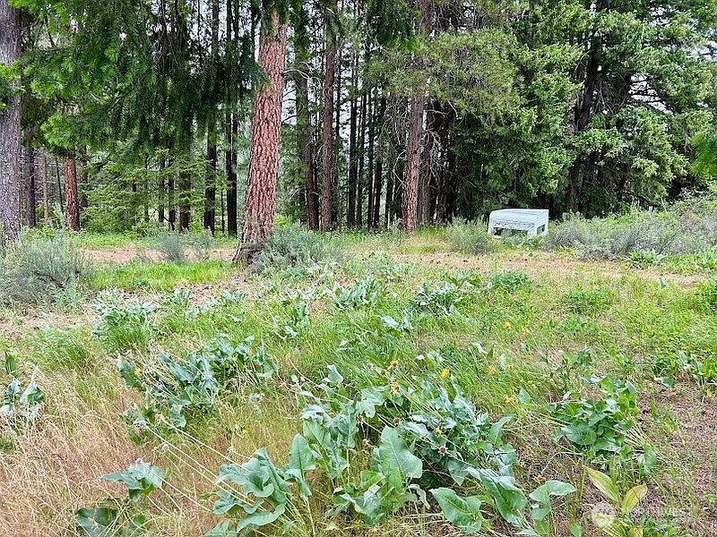 4th image of 15425 Chumstick Highway