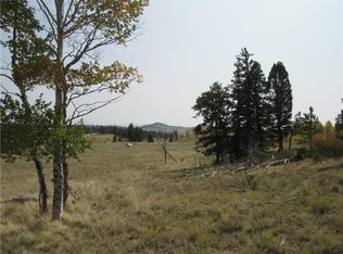 1250 Kaufman Rd, Hartsel, CO 80449