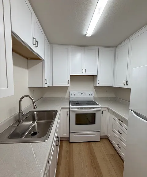 10002 San Juan St #6 — Photo 4