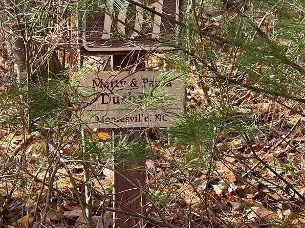 0 Pinnacle Falls Ln, Zirconia, NC 28790