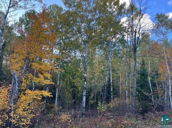 TBD S Loon Lake Rd, Aurora, MN 55705