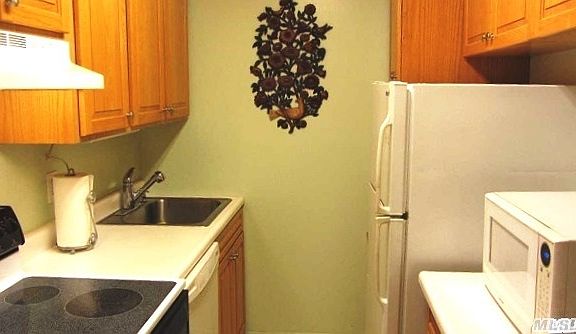 4th image of 90 S Park Ave APT C12