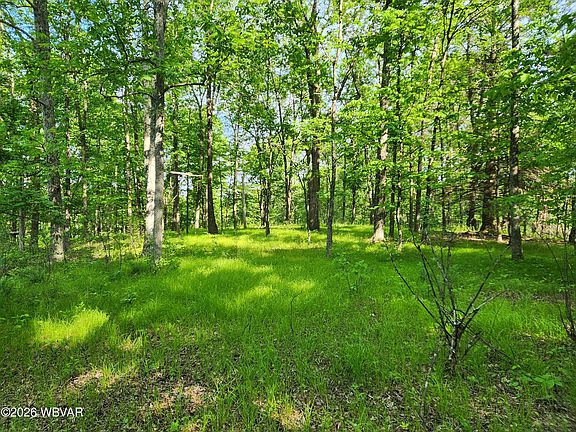 3rd image of PARCEL 279 Oak St Lot 79