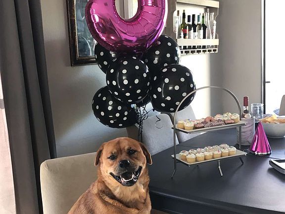 Dining area with bday pup