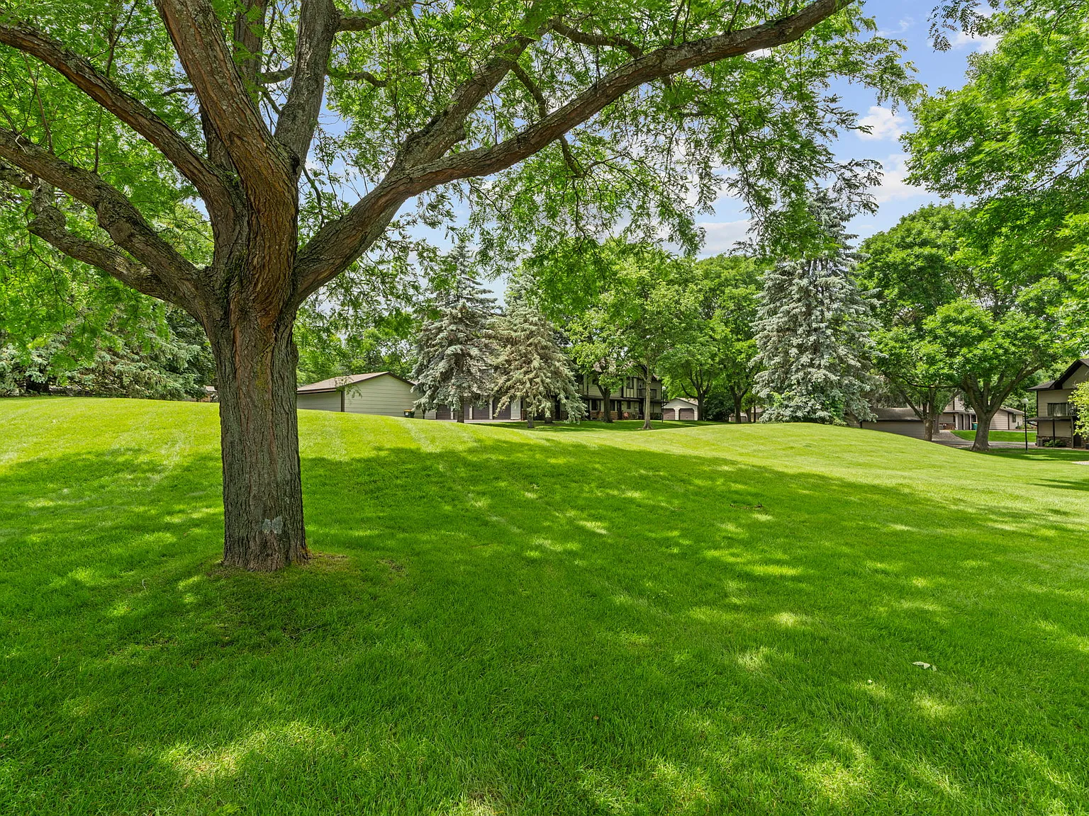 Zenith Lane, Eden Prairie (13359) LS ER1 - 1 — Photo 3