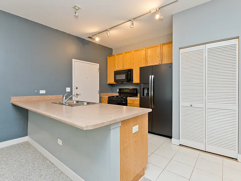 1515 S Halsted St #214 — Photo 7