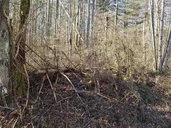 Leonard Williams Rd, Wartburg, TN 37887