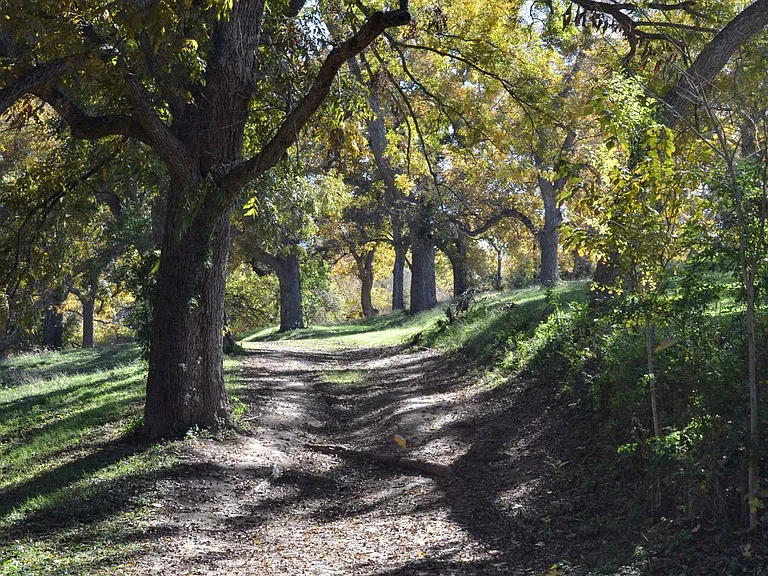 Commons Ford park is a 5 minute drive away, with hiking, biking and walking trails and on Lake Austin for swimming, fishing and picnics