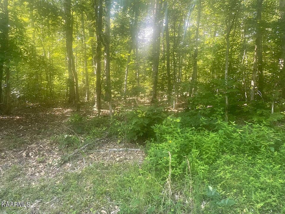 1st image of Shady Shores Ln