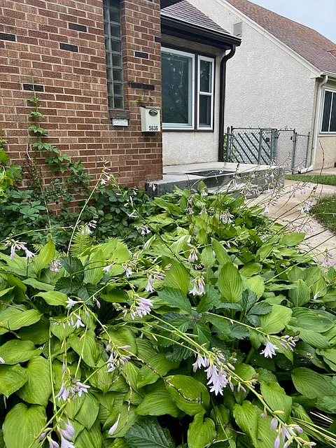 5636 Cedar Ave S — Photo 1