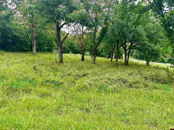 001-04809 Highway 0 #206, Yellville, AR 72687