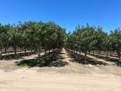 Avenue 144, Tipton, CA, 93272