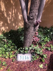 3156 Plaza Blanca, Santa Fe, NM, 87507