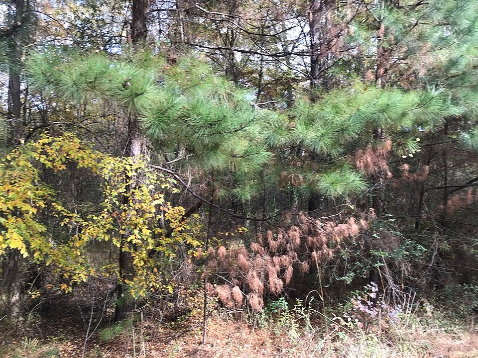 2nd image of 269 Cox Woodland Rd NW