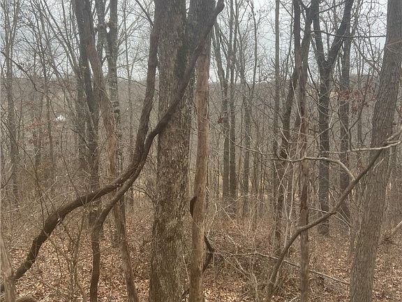 5th image of Ludborough Ln #10