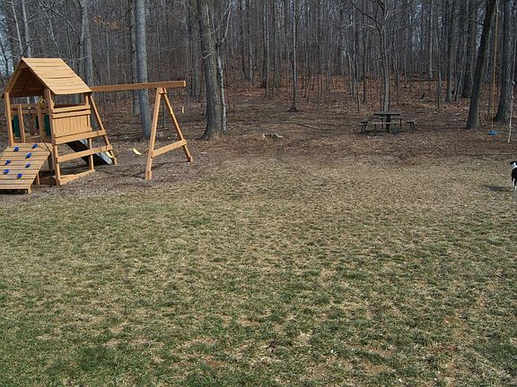 Back yard area
