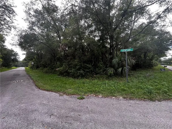 8624 N Barberry Way, Crystal River, FL 34428