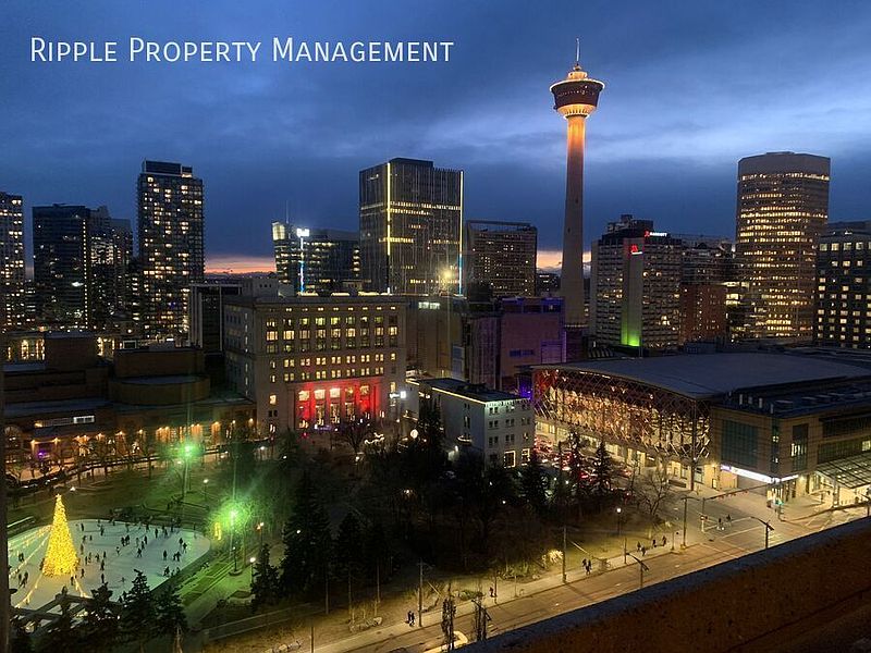 Calgary Apartment for rent - 1 Bedroom — photo 14