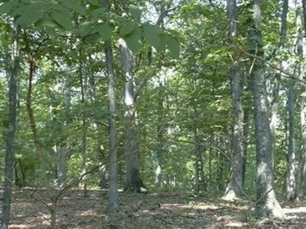 18 Sleepy Knls, Shanks, WV 26761